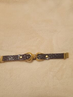 Gold-Accent Brown Textured Waist Belt